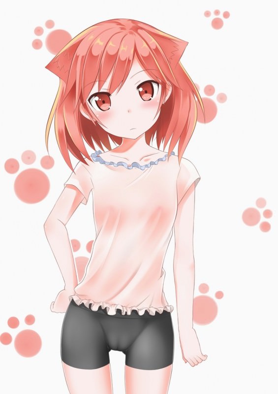  ,  ,    ,      .       ,       